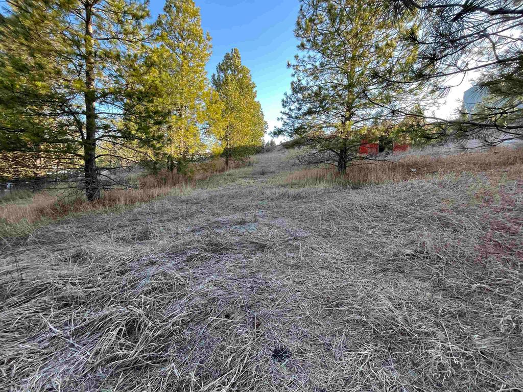 218 N Cliff Ct, Rockford, WA 99030 photo 5