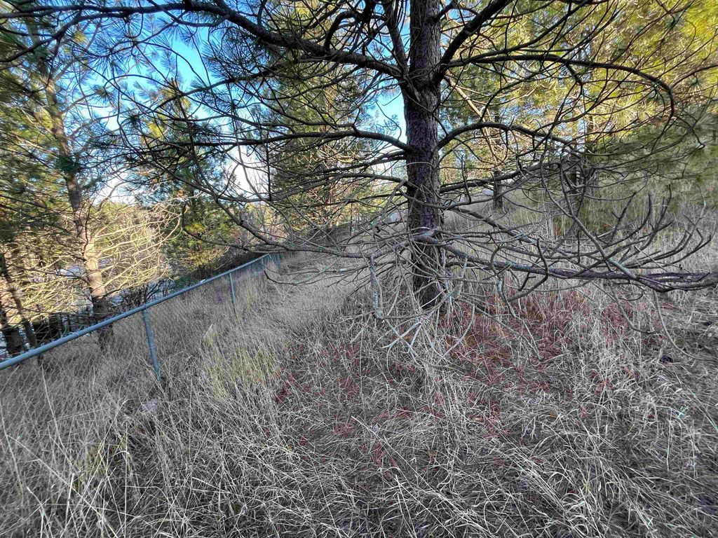 218 N Cliff Ct, Rockford, WA 99030 photo 6