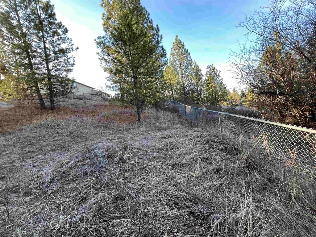 218 N Cliff Ct, Rockford, WA 99030 photo 7