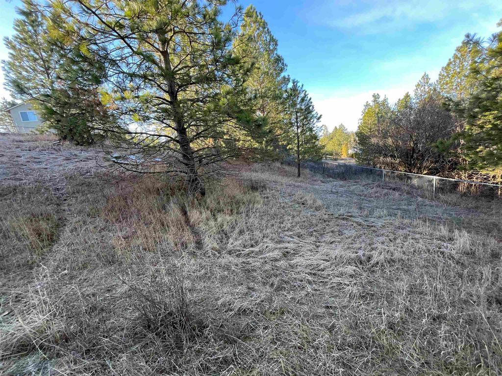 218 N Cliff Ct, Rockford, WA 99030 photo 9