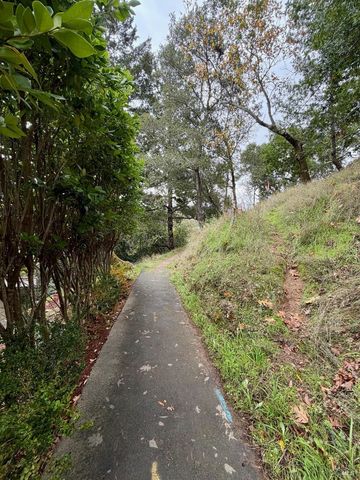 51 Berry Trl, Fairfax, CA 94930