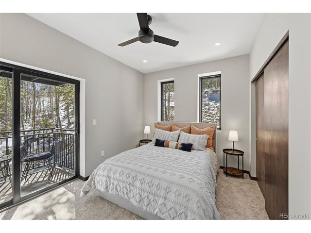 410 N Aspen St, Alma, CO 80420