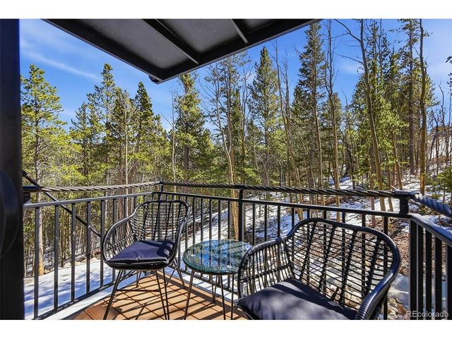 410 N Aspen St, Alma, CO 80420