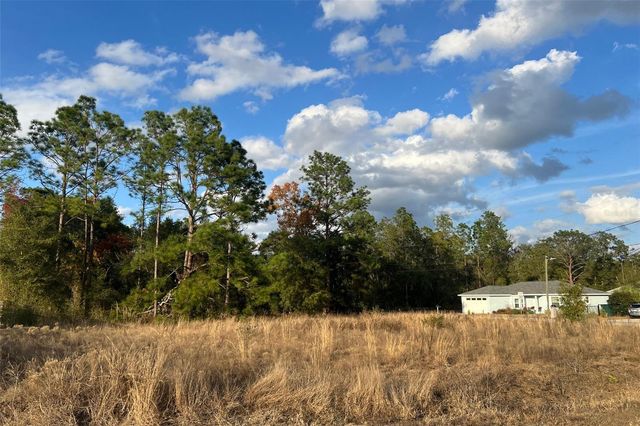 0 SE 159TH ST, Summerfield, FL 34491