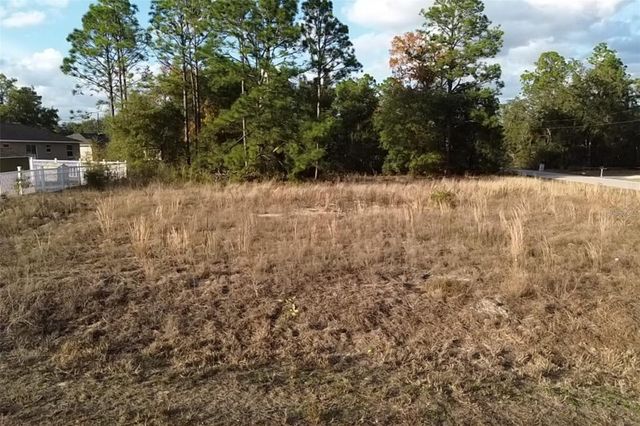 0 SE 159TH ST, Summerfield, FL 34491