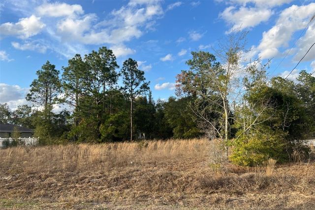 0 SE 159TH ST, Summerfield, FL 34491