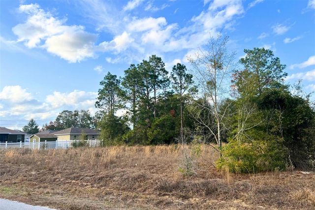 0 SE 159TH ST, Summerfield, FL 34491