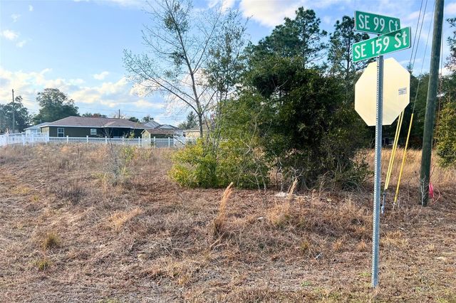 0 SE 159TH ST, Summerfield, FL 34491