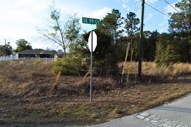 0 SE 159TH ST, Summerfield, FL 34491