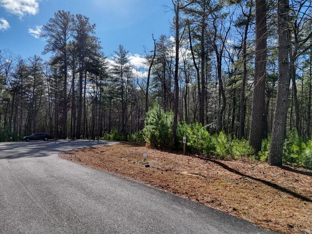 lot 157 Oakwood Way, Blairsville, GA 30512