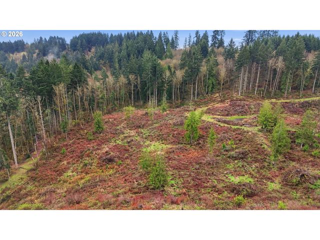 Nw Pumpkin Ridge Rd, North Plains, OR 97133