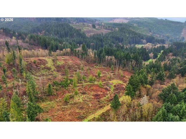 Nw Pumpkin Ridge Rd, North Plains, OR 97133