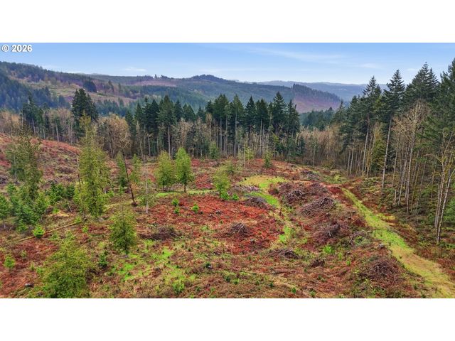 Nw Pumpkin Ridge Rd, North Plains, OR 97133