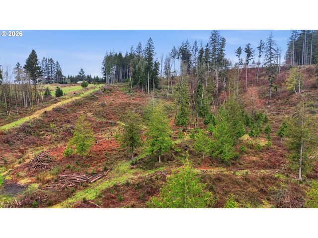 Nw Pumpkin Ridge Rd, North Plains, OR 97133