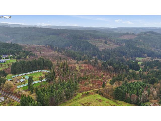 Nw Pumpkin Ridge Rd, North Plains, OR 97133