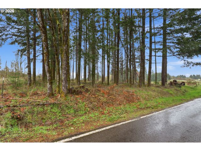 Nw Pumpkin Ridge Rd, North Plains, OR 97133