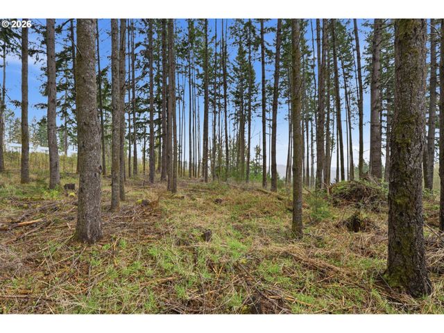 Nw Pumpkin Ridge Rd, North Plains, OR 97133