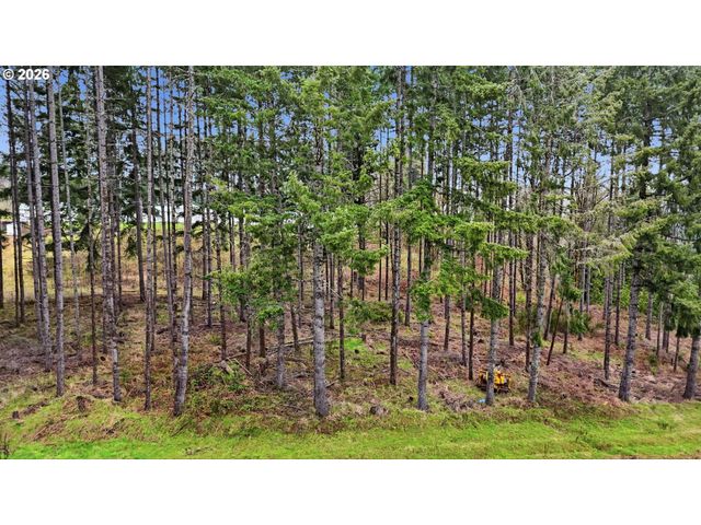 Nw Pumpkin Ridge Rd, North Plains, OR 97133