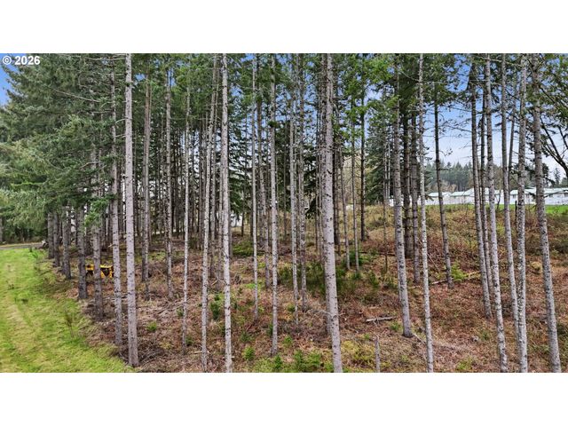 Nw Pumpkin Ridge Rd, North Plains, OR 97133