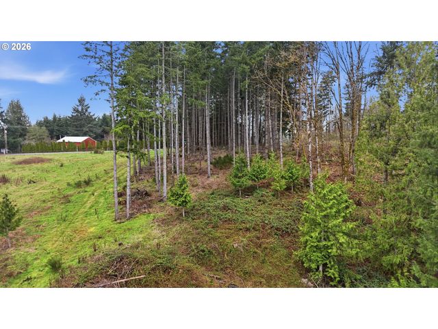 Nw Pumpkin Ridge Rd, North Plains, OR 97133