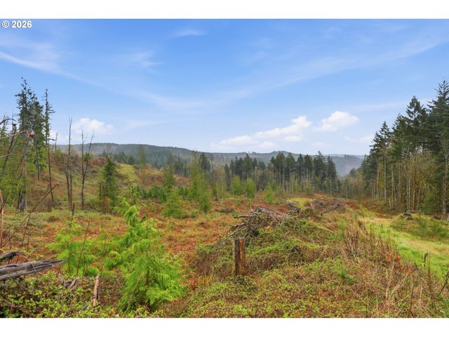 Nw Pumpkin Ridge Rd, North Plains, OR 97133
