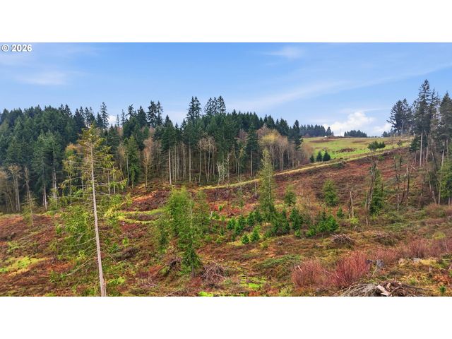 Nw Pumpkin Ridge Rd, North Plains, OR 97133