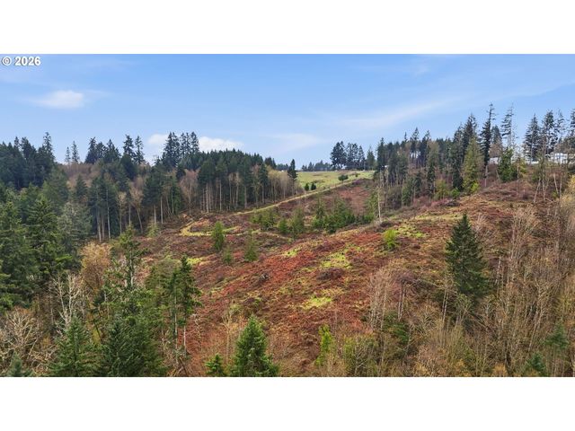 Nw Pumpkin Ridge Rd, North Plains, OR 97133