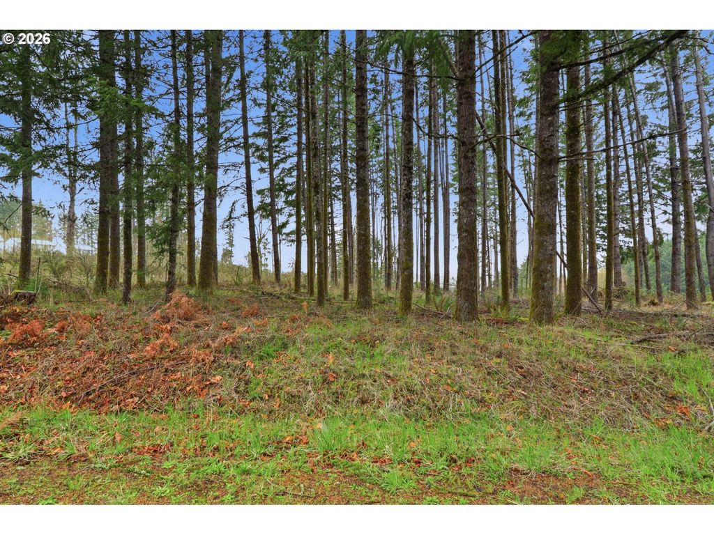 Nw Pumpkin Ridge Rd, North Plains, OR 97133