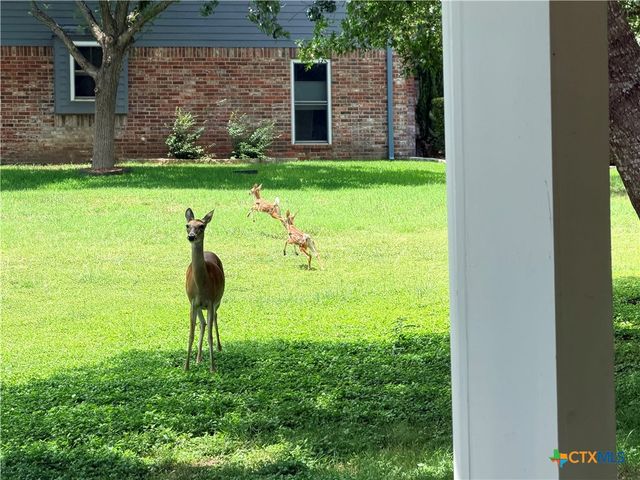 400 Royal View Road, Salado, TX 76571