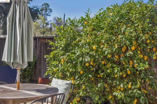 548 Gabriel Ct, Walnut Creek, CA 94597