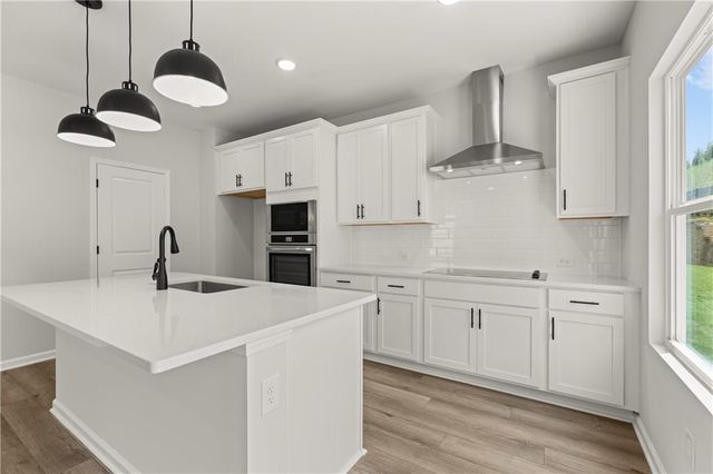 240 Black Walnut Way, Canton, GA 30114