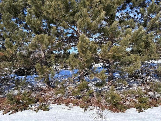 Honor Highway, Interlochen, MI 49643