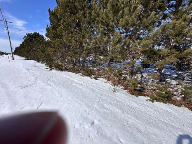 Honor Highway, Interlochen, MI 49643