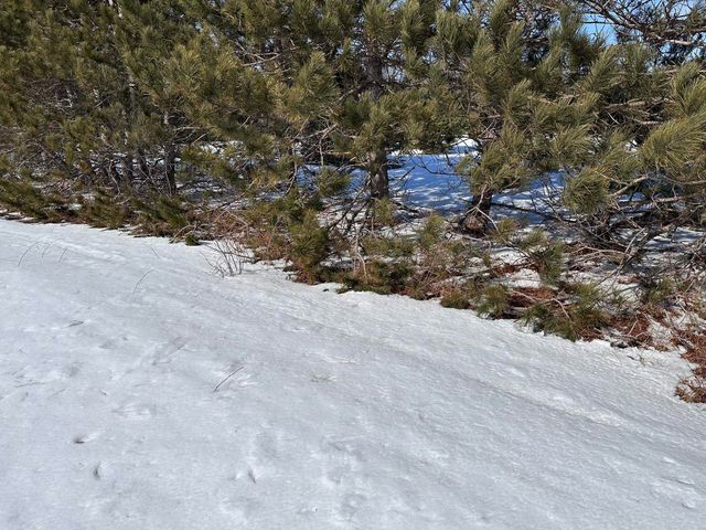 Honor Highway, Interlochen, MI 49643