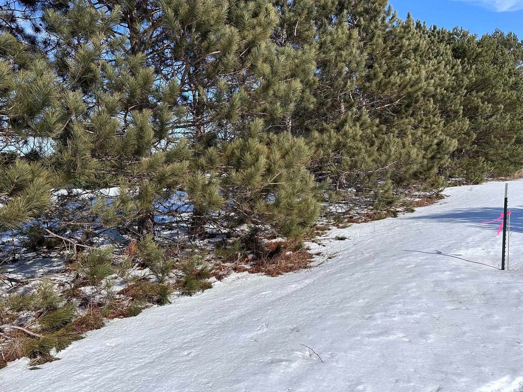 Honor Highway, Interlochen, MI 49643