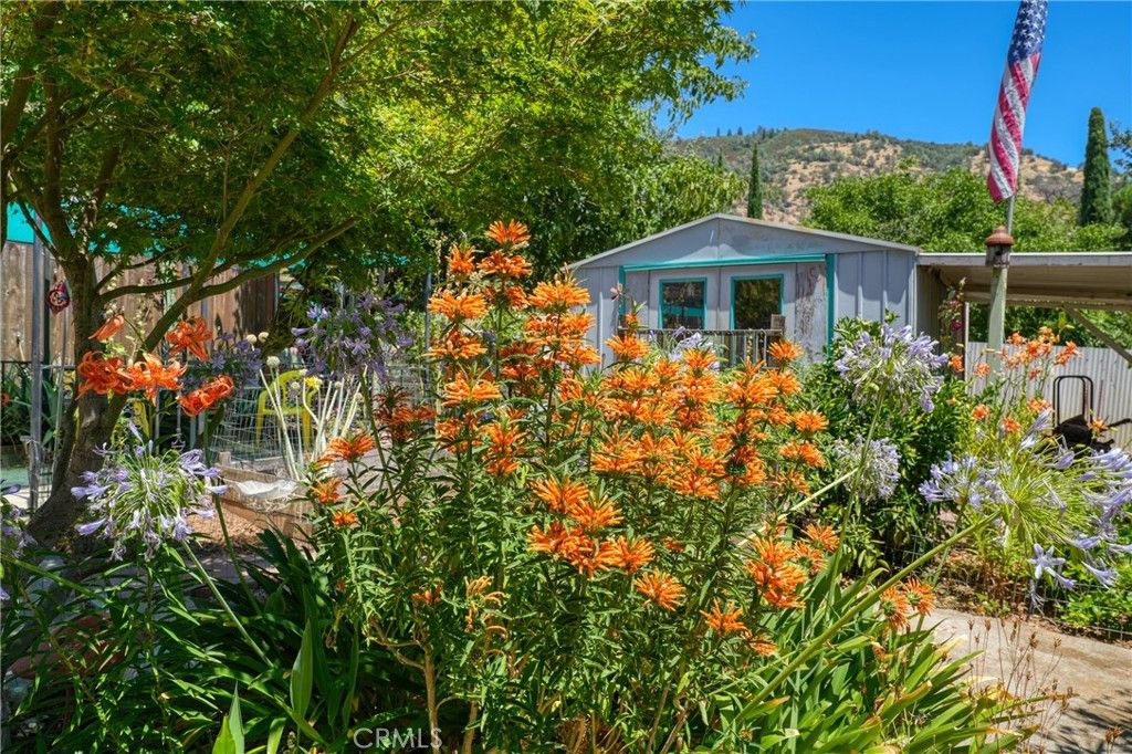 Image 41 of property listing at 6824 Crump, Nice, CA 95464