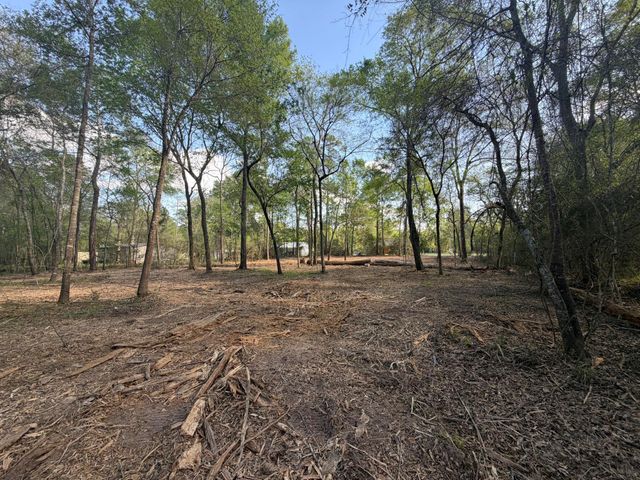 30505 N Walnut Creek Drive, Waller, TX 77484