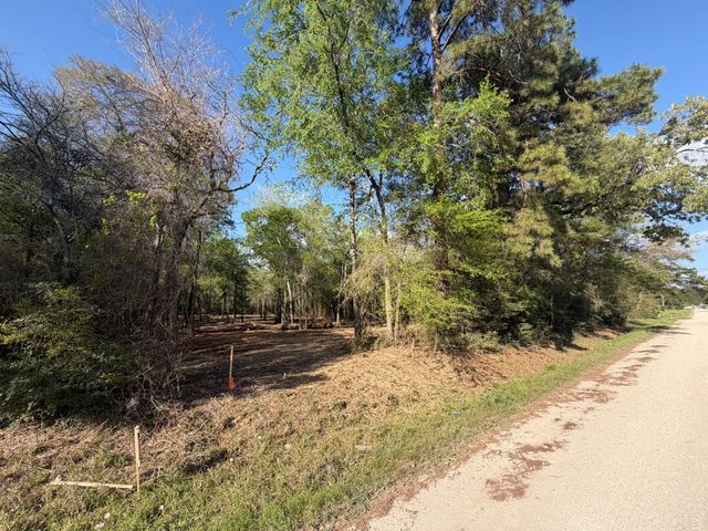 30505 N Walnut Creek Drive, Waller, TX 77484