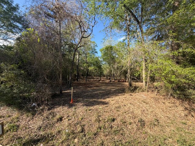 30505 N Walnut Creek Drive, Waller, TX 77484