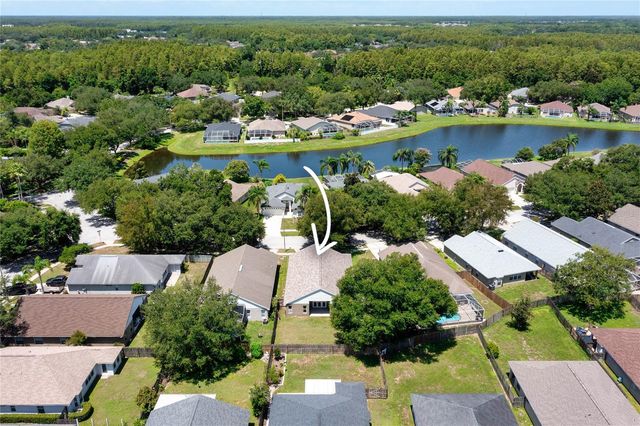 19520 MORDEN BLUSH DRIVE, Lutz, FL 33558