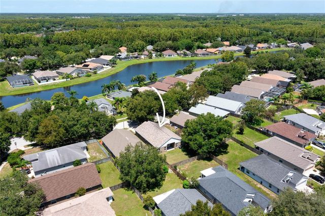19520 MORDEN BLUSH DRIVE, Lutz, FL 33558