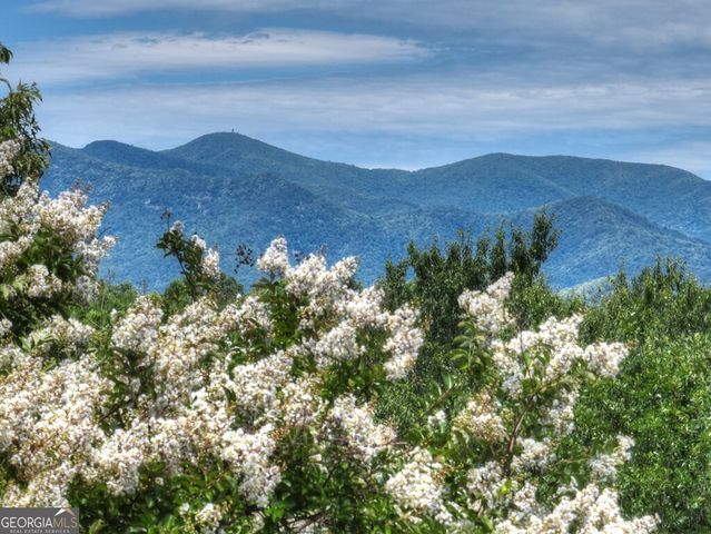 159 Victoria Drive, Blairsville, GA 30512