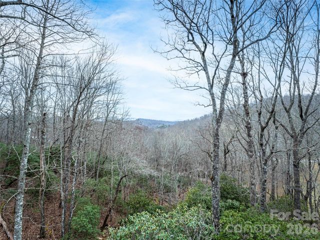 67 Ossarooga Court, Brevard, NC 28712