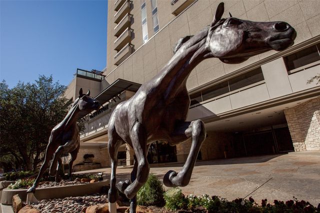 5909 Luther Lane 1405, Dallas, TX 75225