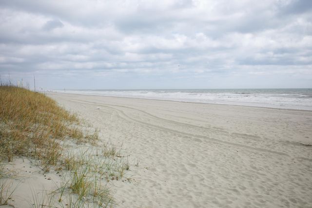 305 Hillside Dr N Apt 204, North Myrtle Beach, SC 29582