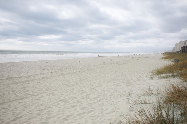 305 Hillside Dr N Apt 204, North Myrtle Beach, SC 29582