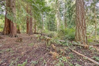 225 Belvedere Drive, Port Townsend, WA 98368