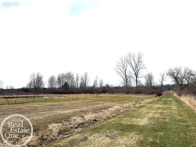 15594 Bryce Road, Capac, MI 48014