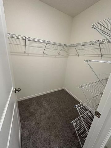 299 MANGROVE SHADE CIRCLE, Apollo Beach, FL 33572