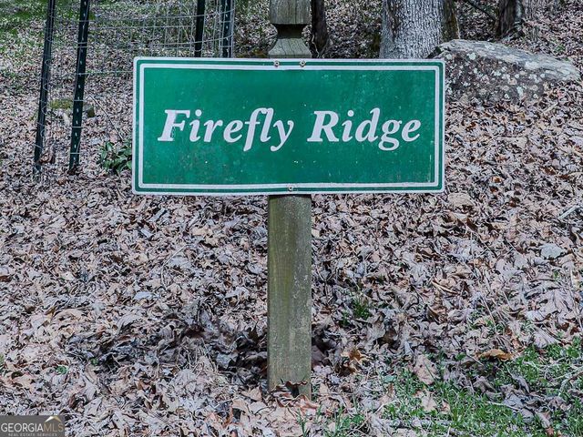 290 Ruby Lane 3328R, Ellijay, GA 30536